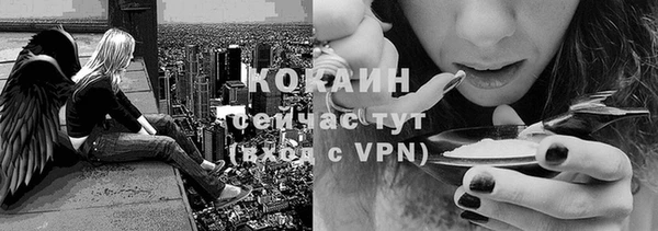 дживик Белоозёрский