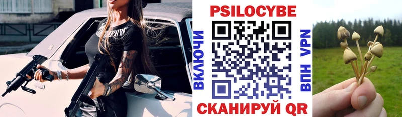 площадка официальный сайт  Отрадная  Псилоцибиновые грибы Psilocybe  OMG ONION 